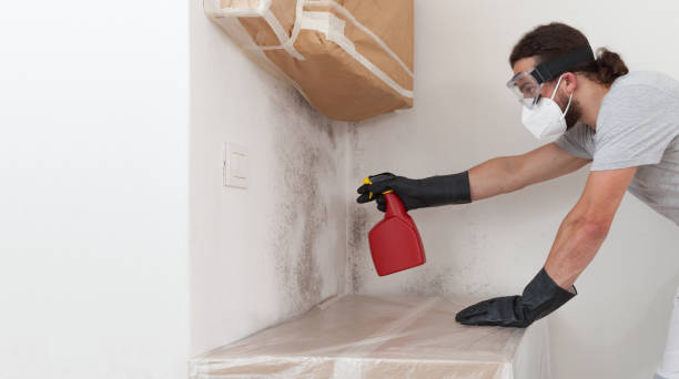 Professional Bathroom Mold Removal technician working in Freehold, NJ