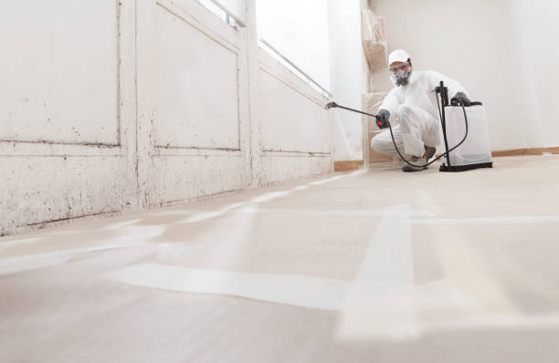 24/7 Emergency Bathroom Mold Removal experts in Freehold, NJ